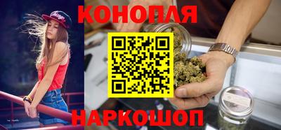 Альфа ПВП Нальчик