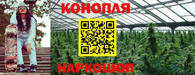 Альфа ПВП Нальчик