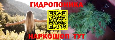 mdpv Новокубанск