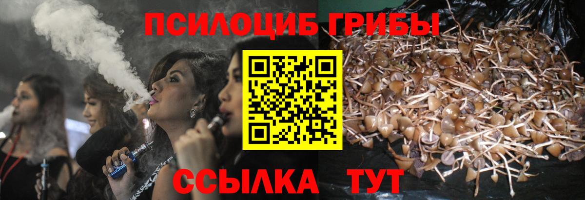 Псилоцибиновые грибы ЛСД  Вход с VPN  Амурск 